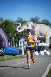 BIB: 
                            <button type="button" onclick="openModal(26542282)" class="btn btn-primary btn-sm float-right btn-popup" data-toggle="modal" data-target=".modal-high-quality">
                        <i class="fas fa-shopping-cart"></i> Add to Cart
                    </button>
                                            <button type="button" onclick="isThisMe(26542282, true)" class="btn btn-success btn-sm float-right btn-popup btn-isme hidden" data-toggle="tooltip" data-placement="bottom" title="นี่คือรูปของคุณใช่ไหม คลิกที่นี่เพื่อเอาเข้าอัลบั้ม">
                        <i class="fas fa-plus"></i> Add to album
                    </button>
                    <button type="button" onclick="isThisMe(26542282, false)" class="btn btn-warning btn-sm float-right btn-popup btn-isnotme hidden">
                        <i class="fas fa-ban"></i> Remove from album
                    </button>